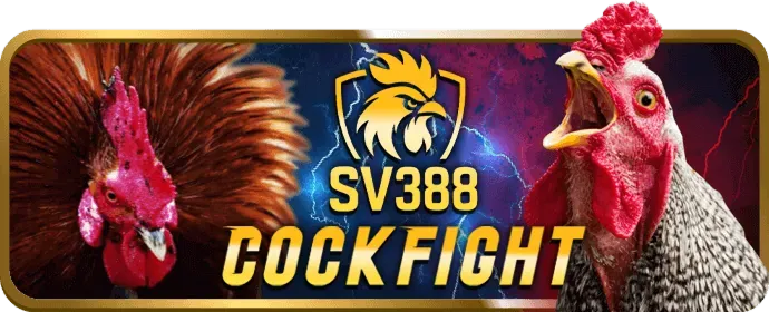 Hỗ trợ khách hàng 24/7 555winto